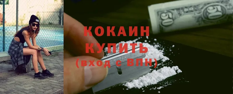 как найти закладки  Шуя  ссылка на мегу онион  Cocaine Боливия 