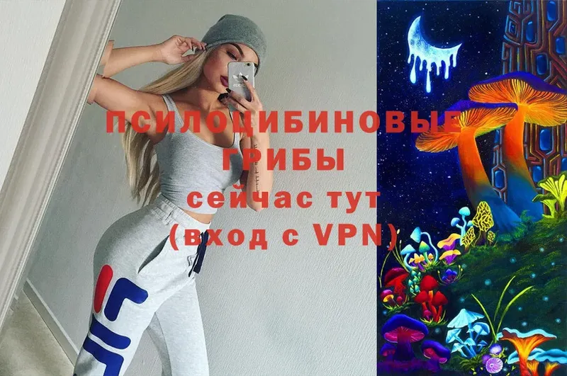 Псилоцибиновые грибы Psilocybine cubensis  где продают   Шуя 